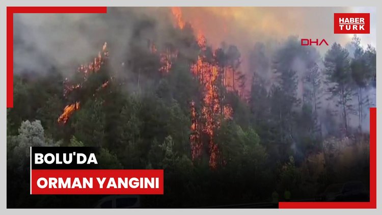 Bolu'da orman yangını