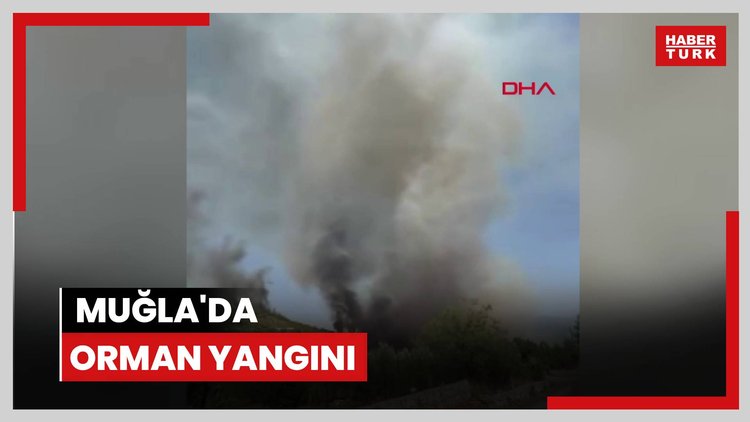 Muğla'da orman yangını
