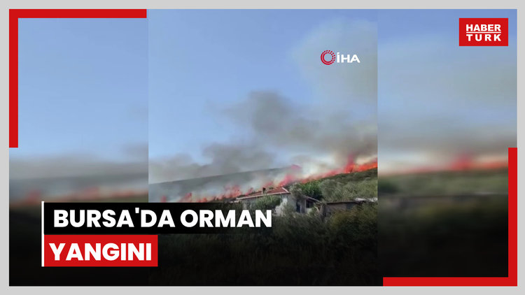 Bursa'da orman yangını