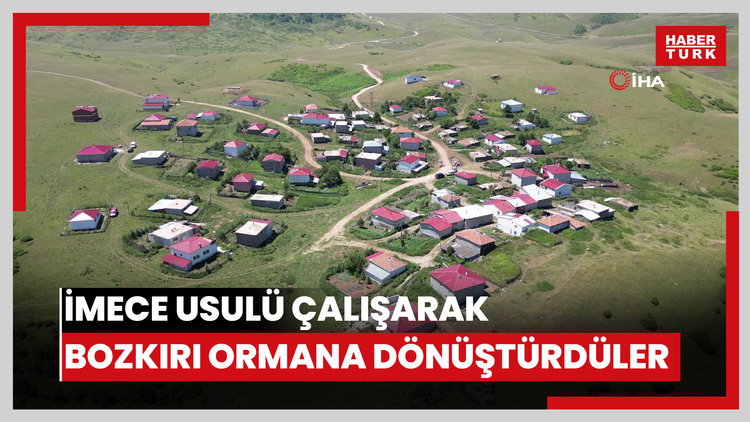 Yayla sakinleri imece usulü çalışarak bozkırı ormana dönüştürdü
