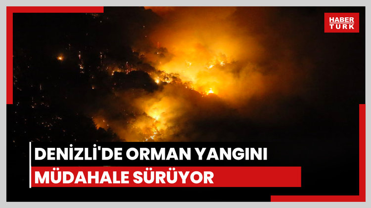 Denizli'de orman yangını