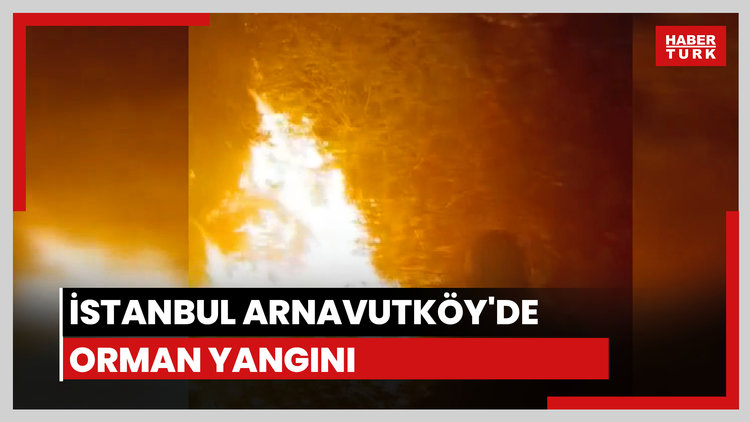 Arnavutköy'de ormanlık alanda yangın