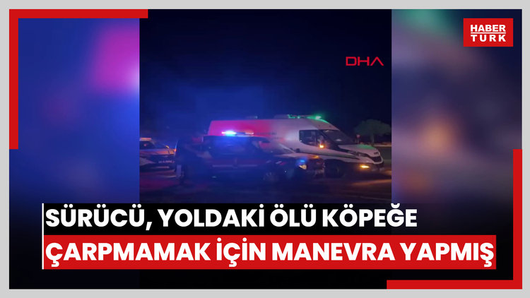2 kişinin hayatını kaybettiği kazada sürücü, yoldaki ölü köpeğe çarpmamak için manevra yapmış