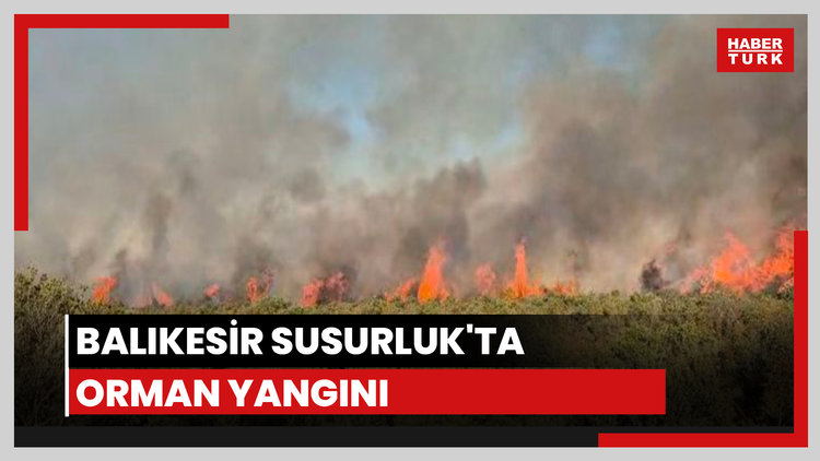 Balıkesir'de orman yangını