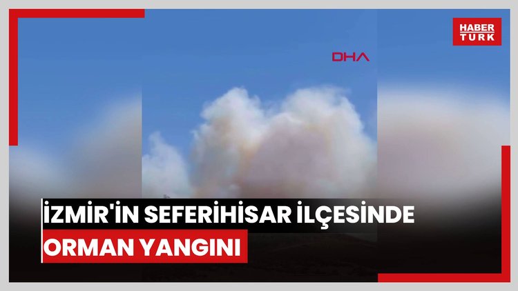 İzmir'in Seferihisar ilçesinde orman yangını