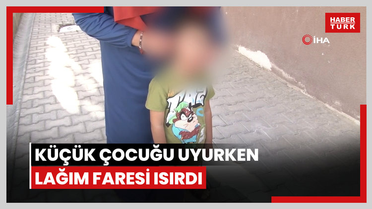 Ankara'da küçük çocuğu uyurken lağım faresi ısırdı