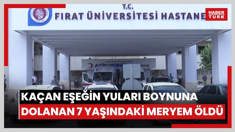 Kaçan eşeğin yuları boynuna dolanan 7 yaşındaki Meryem öldü