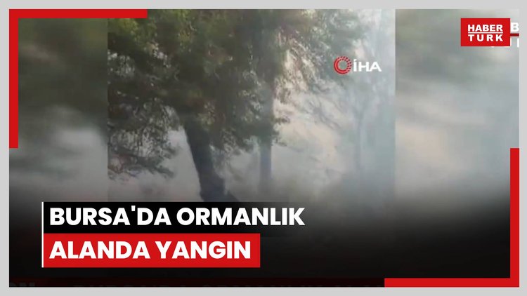 Bursa'da ormanlık alanda yangın