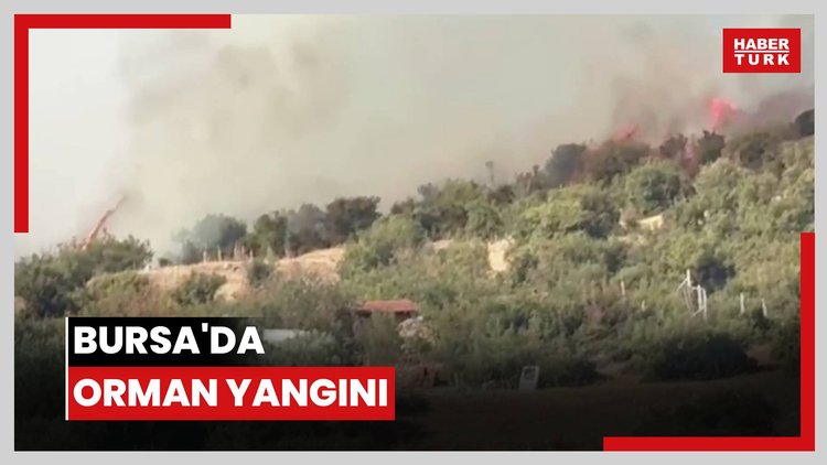 Bursa'da orman yangını