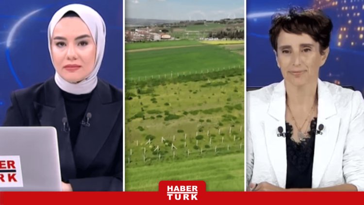 Tarım Üretimi Nasıl Planlanmalı?