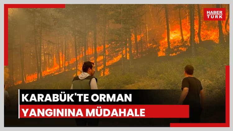Karabük'te orman yangını