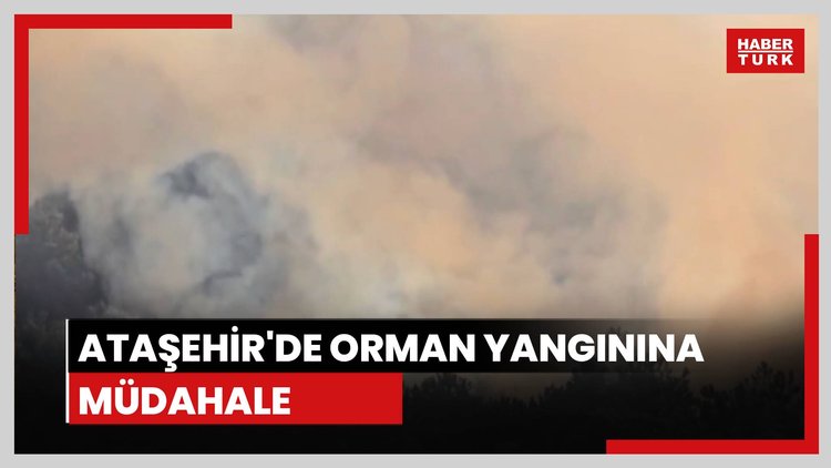 Ataşehir'de orman yangını