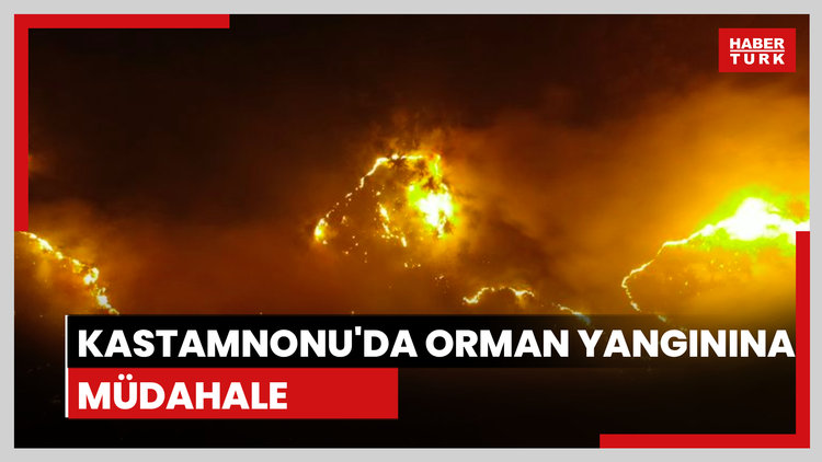 Kastamonu'daki yangına müdahale ediliyor