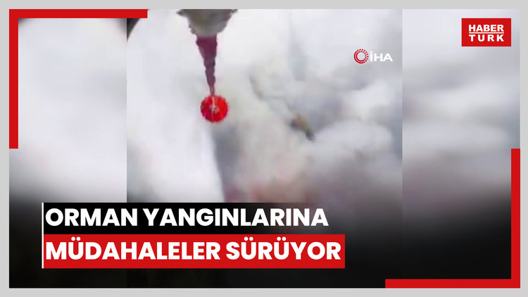 Kastamonu ve Karabük'teki yangınlara havadan müdahaleler sürüyor