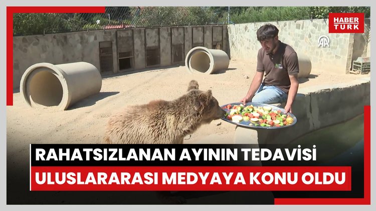 Çekmeköy Hayvan Rehabilitasyon Merkezinde rahatsızlanan ayının tedavisi uluslararası medyaya konu oldu