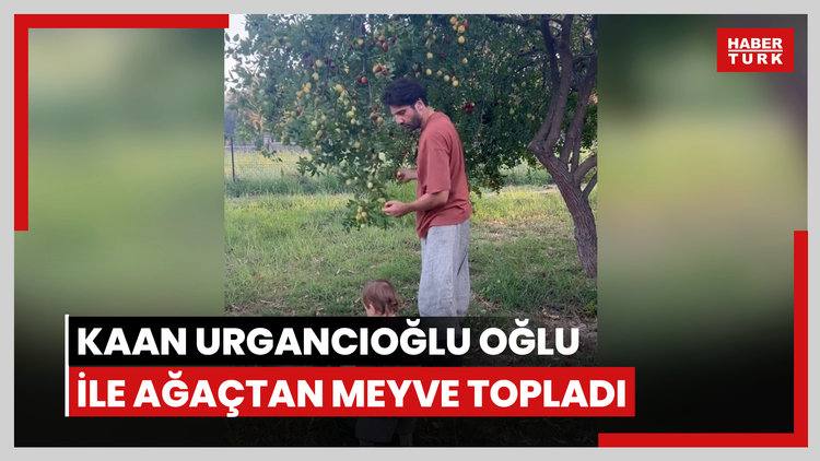 Kaan Urgancıoğlu oğlu ile ağaçtan meyve topladı