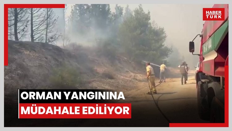 Orman yangınına müdahale ediliyor