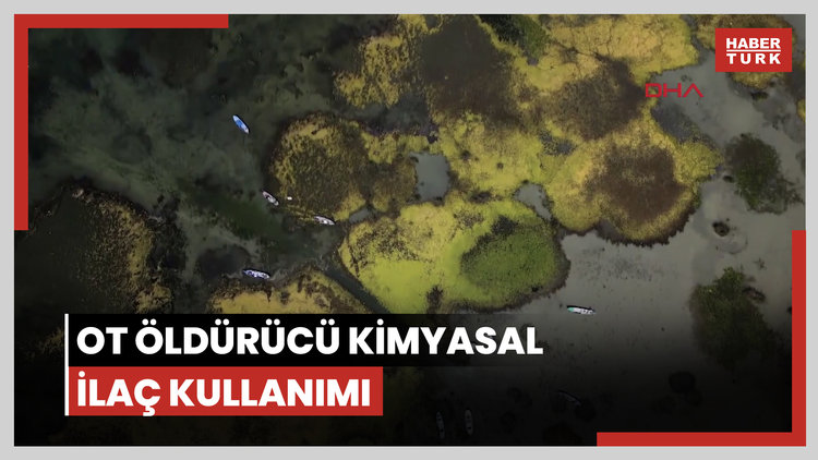 Eğirdir Gölü'nde ekolojik yıkım; sazlıkların kesilmesine tepki