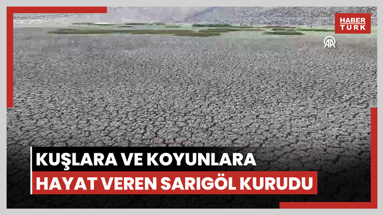 Erciyes'in eteklerinde yılkı atları, kuşlar ve koyunlara hayat veren Sarıgöl kurudu