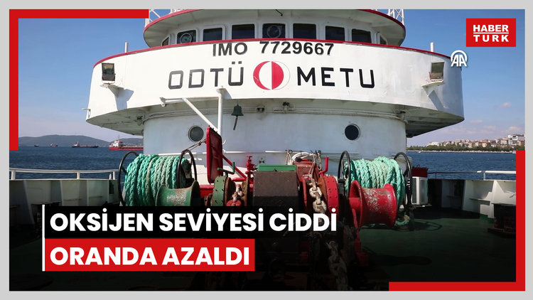 Mersin ve İskenderun körfezlerinde oksijen seviyesi ciddi oranda azaldı