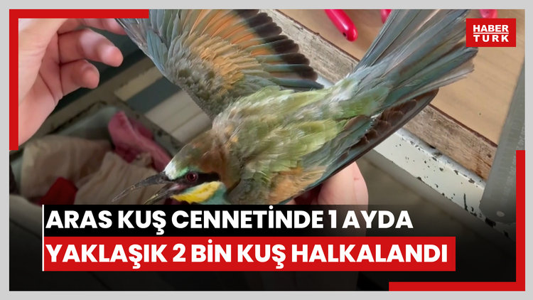 Aras Kuş Cennetinde 1 ayda yaklaşık 2 bin kuş halkalandı