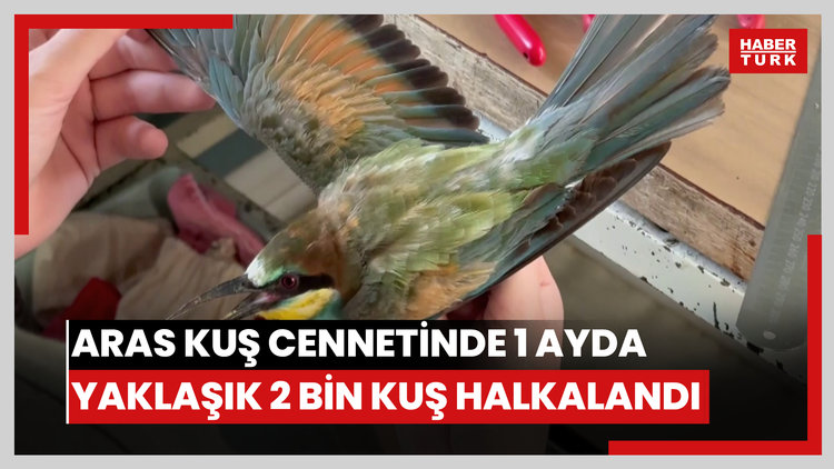 Aras Kuş Cenneti'nde 1 ayda yaklaşık 2 bin kuş halkalandı