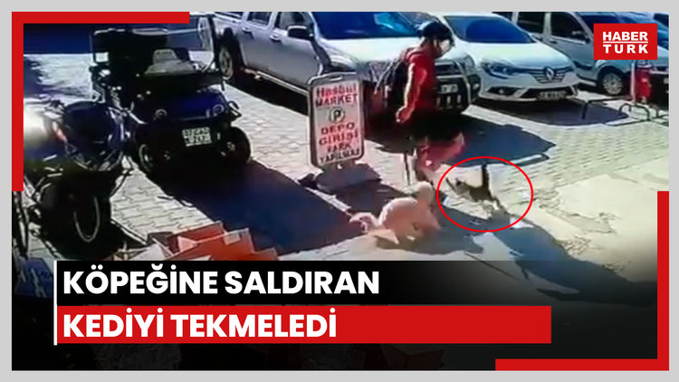 Köpeğine saldıran kediyi tekmeledi