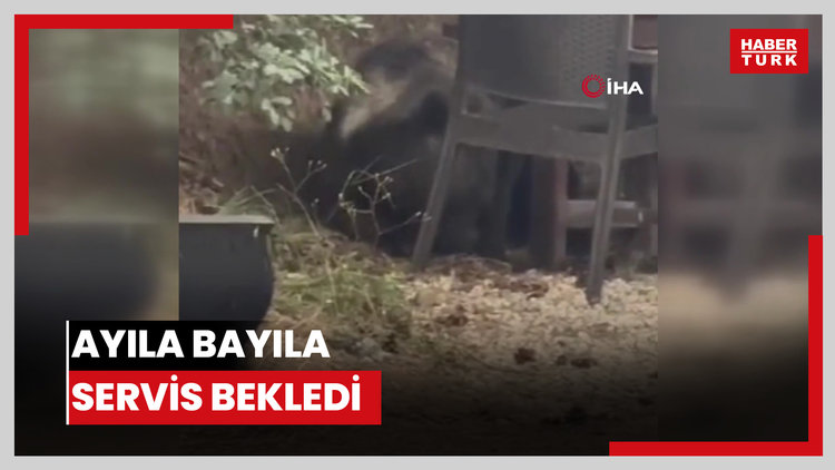 Ayıla bayıla servis bekledi