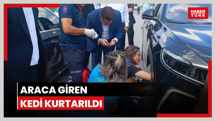Bakan konvoyundaki araca giren yavru kediyi 112 ekipleri kurtardı