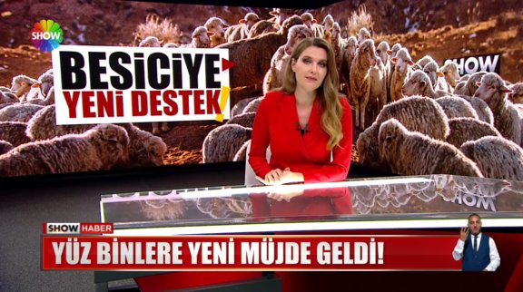 Kırmızı et fiyatları hangi yönde seyredecek?