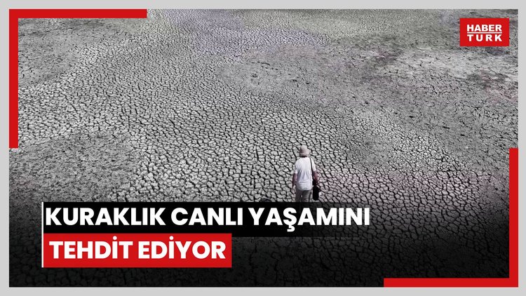 Devegeçidi Baraj Gölündeki kuraklık canlı yaşamını tehdit ediyor