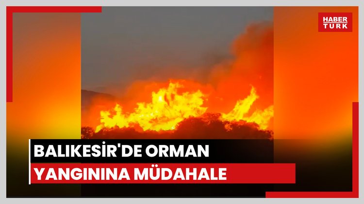 Balıkesir'de orman yangını