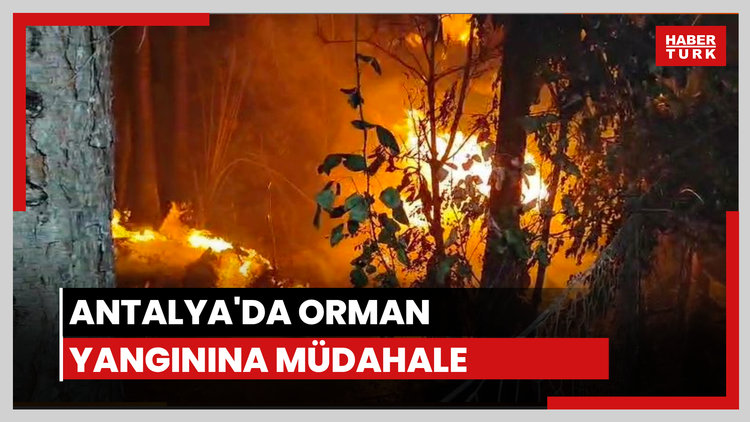 Antalya'daki orman yangınına müdahale sürüyor