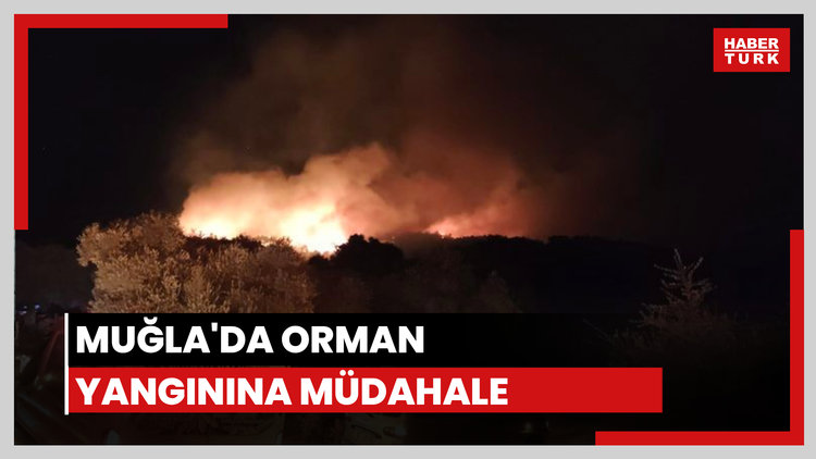 Muğla'da orman yangını