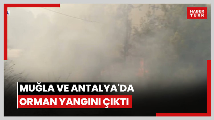 Eylül'de orman yangınları!