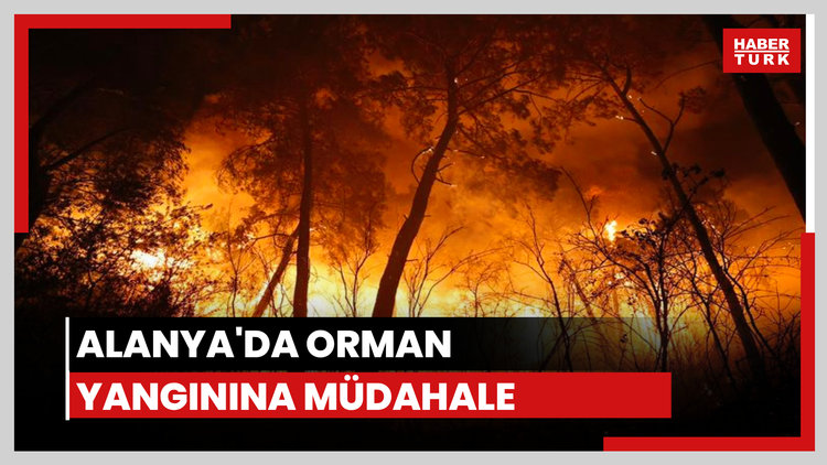 Alanya'da orman yangını