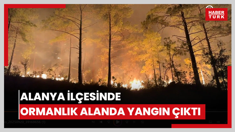 Alanya ilçesinde ormanlık alanda yangın çıktı