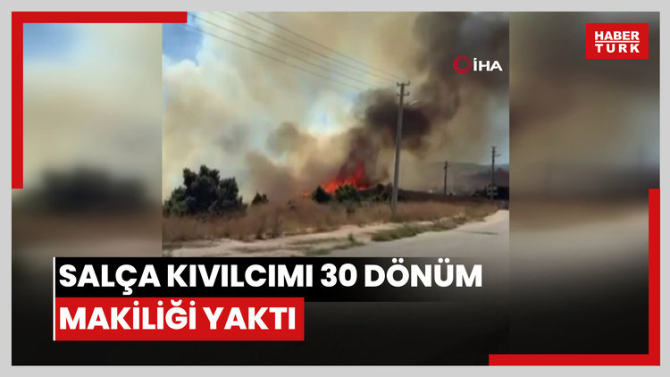 Salça yaparken çıkan kıvılcımla 30 dönüm makilik alanı kül oldu