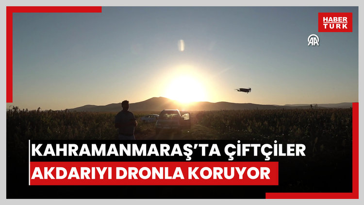 Kahramanmaraşta çiftçiler "akdarı"yı kuşlardan dronla koruyor