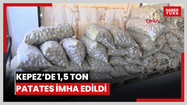 Kepez'de 1,5 ton patates imha edildi