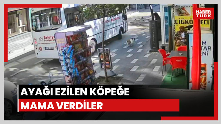 Ayağı ezilen köpeğe mama verdiler