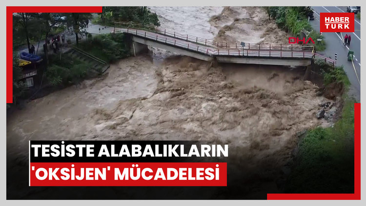 Selin vurduğu tesiste alabalıkların 'oksijen' mücadelesi