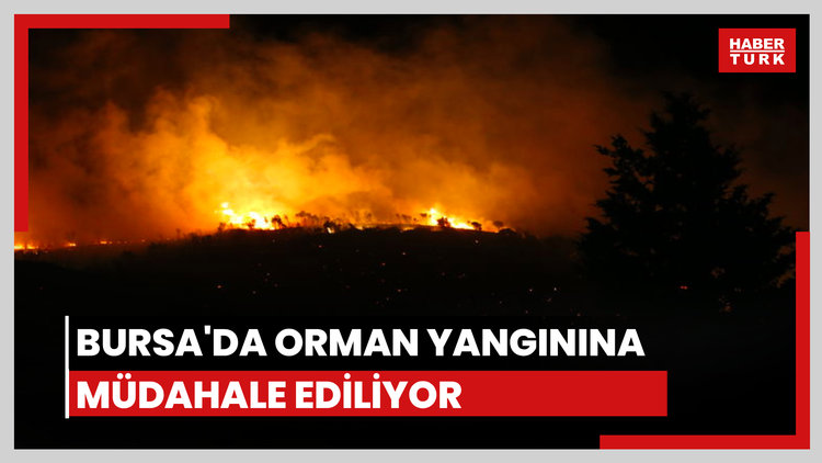 Bursa'da orman yangını!