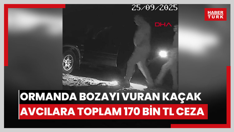 Ormanda bozayı vuran kaçak avcılara toplam 170 bin TL ceza