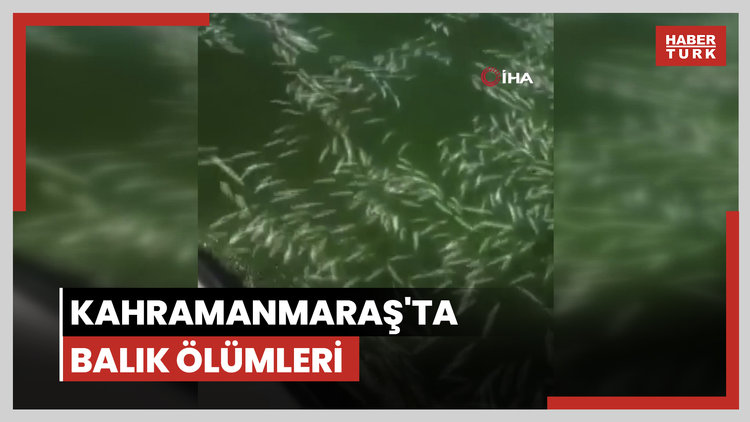 Kahramanmaraş'ta balık ölümleri