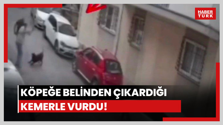 Köpeğe kemerle vurdu!