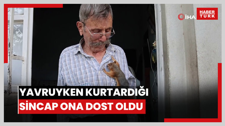 Yalnız kalmıştı, yavruyken kurtardığı 'sincap' dostu oldu