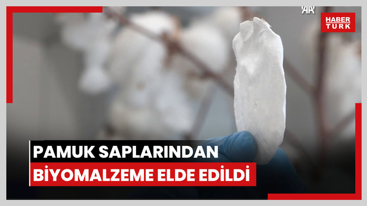 Atık pamuk saplarından katma değerli biyomalzeme elde edildi