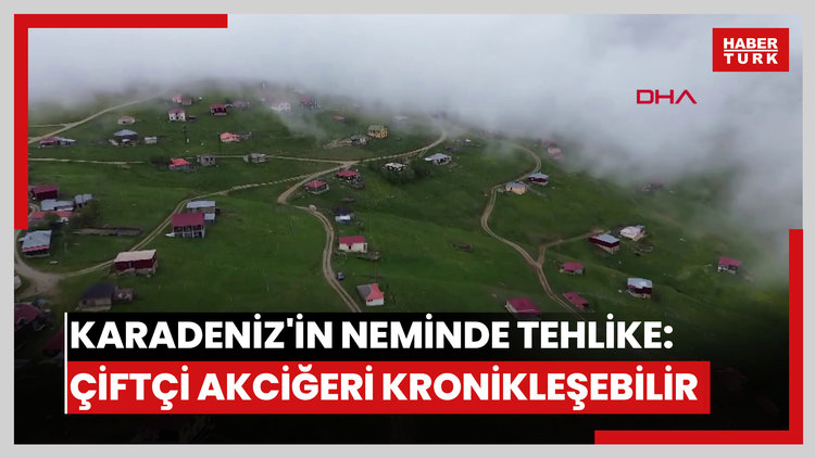 Karadeniz'in nemindeki sinsi tehlike: Çiftçi akciğeri kronikleşebilir