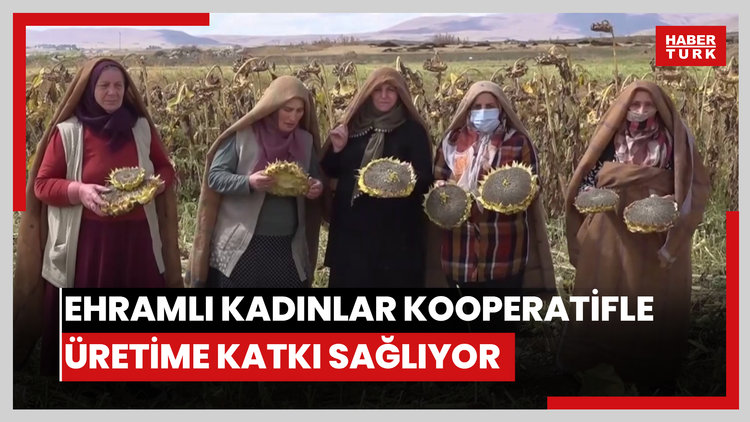 Ehramlı kadın çiftçileri, kurdukları kooperatifle üretime katkı sağlıyor